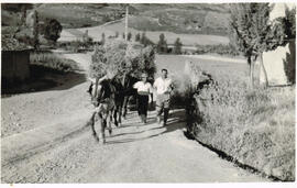 Vuelta del campo