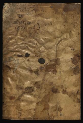 Open original Digital object