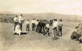 Trillando en el campo