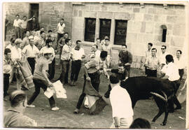 Vaquillas en la plaza