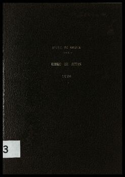 Libro 133 de Actas de Sesiones (1996)